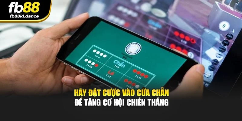 Hãy đặt cược vào cửa Chẵn để tăng cơ hội chiến thắng