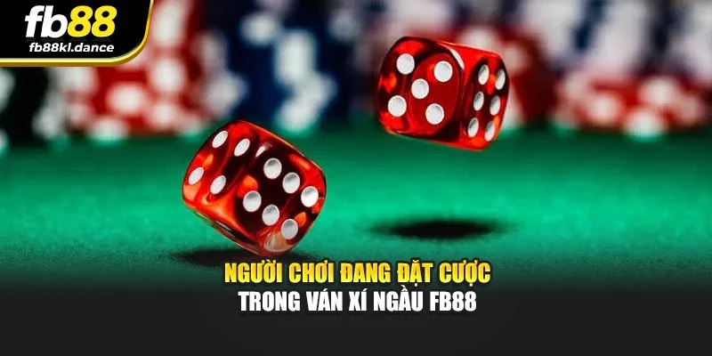 Người chơi đang đặt cược trong ván xí ngầu FB88
