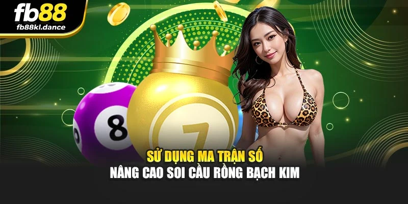 Sử dụng ma trận số nâng cao soi cầu Rồng Bạch Kim