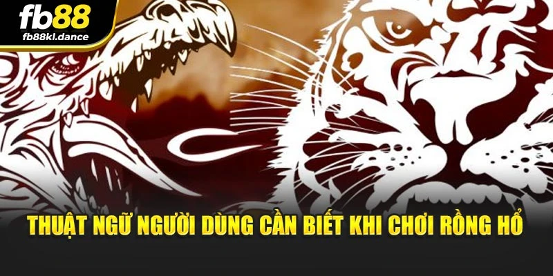 Thuật ngữ người dùng cần biết khi chơi Rồng Hổ