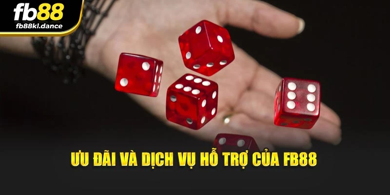 Ưu đãi và dịch vụ hỗ trợ của FB88
